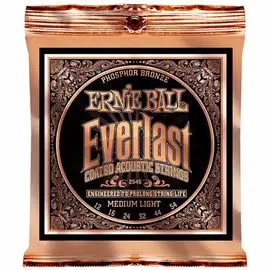 Струны для акустической гитары Ernie Ball 2546 фото 1 | Интернет-магазин Bangbang