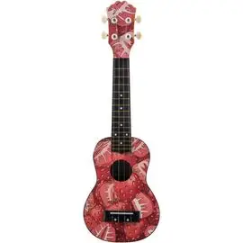 Укулеле-сопрано DAVINCI VINS-20 BERRY фото 1 | Интернет-магазин Bangbang