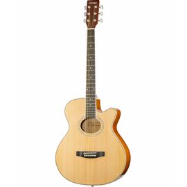 Акустическая гитара Homage LF-401C-N фото 1 | Интернет-магазин Bangbang