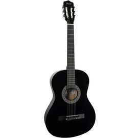Классическая гитара TERRIS TC-3801A BK 7/8 фото 1 | Интернет-магазин Bangbang