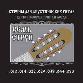 Комплект струн для 7-струнной акустической гитары Fedosov 7SR10 фото 1 | Интернет-магазин Bangbang
