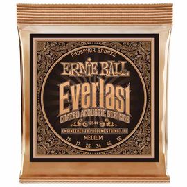 Струны для акустической гитары Ernie Ball 2544 фото 1 | Интернет-магазин Bangbang