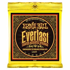 Струны для акустической гитары Ernie Ball 2558 фото 1 | Интернет-магазин Bangbang