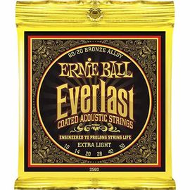 Струны для акустической гитары Ernie Ball 2560 фото 1 | Интернет-магазин Bangbang