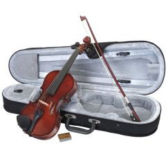 Скрипка Stagg VN-4/4 с мягким кейсом фото 1 | Интернет-магазин Bangbang