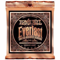 Струны для акустической гитары Ernie Ball 2546 фото 1 | Интернет-магазин Bangbang