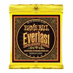 Струны для акустической гитары Ernie Ball 2556 фото 1 | Интернет-магазин Bangbang