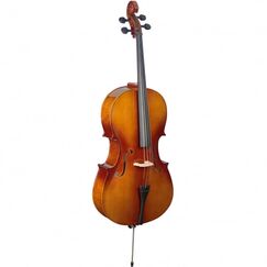 Виолончель Stagg VNC-4/4 L фото 1 | Интернет-магазин Bangbang