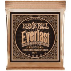 Струны для акустической гитары Ernie Ball 2548 фото 1 | Интернет-магазин Bangbang
