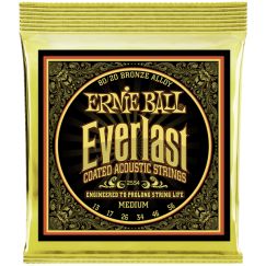 Струны для акустической гитары Ernie Ball 2554 фото 1 | Интернет-магазин Bangbang