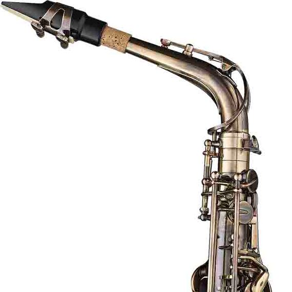 Саксофон-альт Stagg WS-AS218S, изображение 3 Саксофон-альт Stagg WS-AS218S, изображение 3