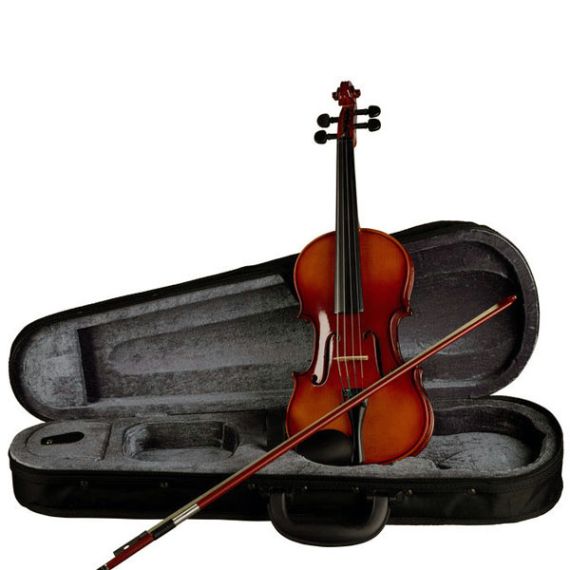 Скрипка Stagg VN 3/4 в мягком кейсе, изображение 2