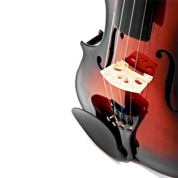 Скрипка Stagg VN-4/4 SB с мягким кейсом, изображение 5