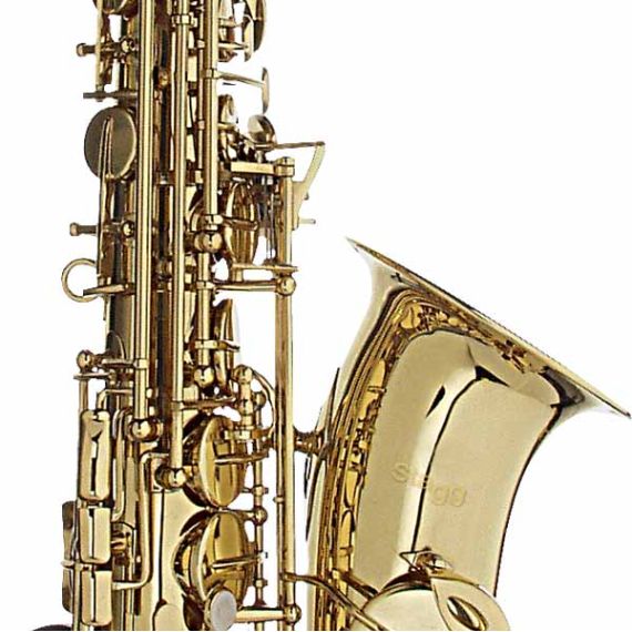 Саксофон-альт Stagg WS-AS215S, изображение 2