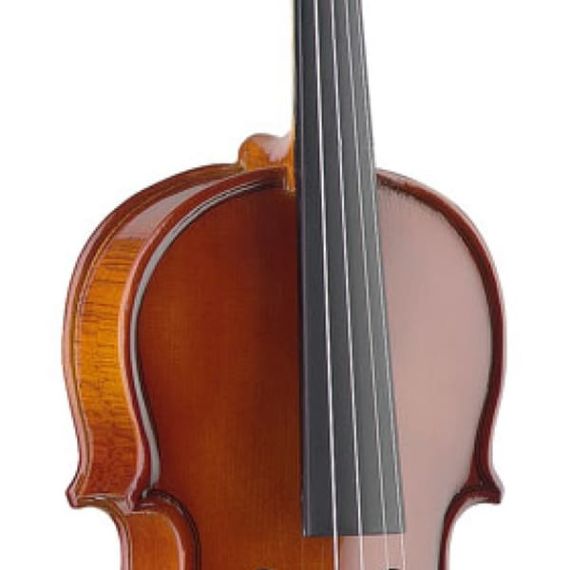 Скрипка Stagg VN-4/4 EF с мягким кейсом, изображение 2