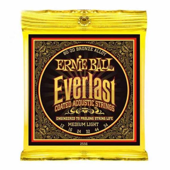 Струны для акустической гитары Ernie Ball 2556 фото 1 | Интернет-магазин Bangbang