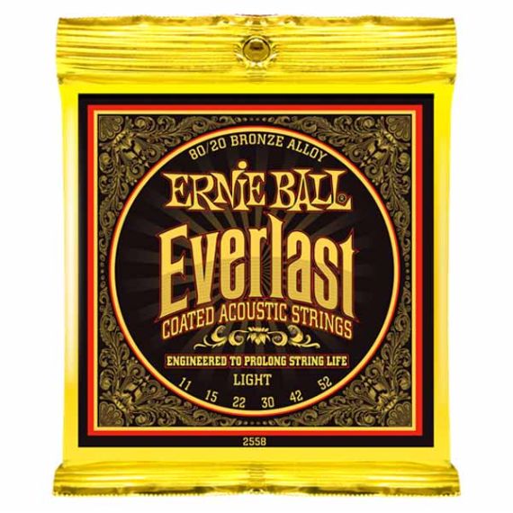 Струны для акустической гитары Ernie Ball 2558 фото 1 | Интернет-магазин Bangbang