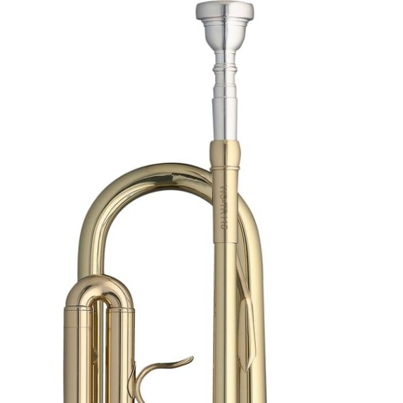 Труба Stagg WS-TR115 с кейсом