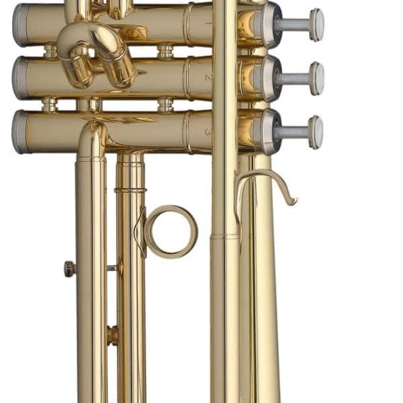 Труба Stagg WS-TR115 с кейсом, изображение 2