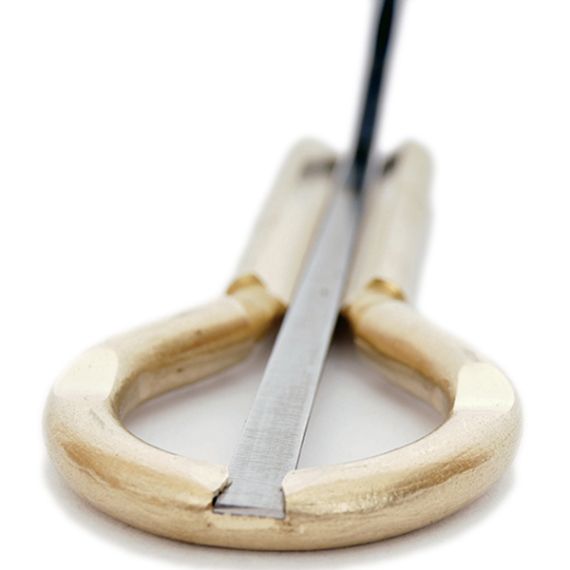 Алтайский варган Мозеръ VR-2