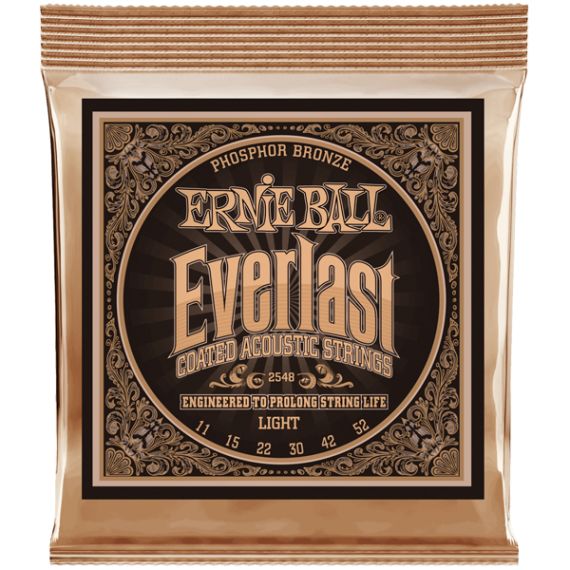 Струны для акустической гитары Ernie Ball 2548 фото 1 | Интернет-магазин Bangbang