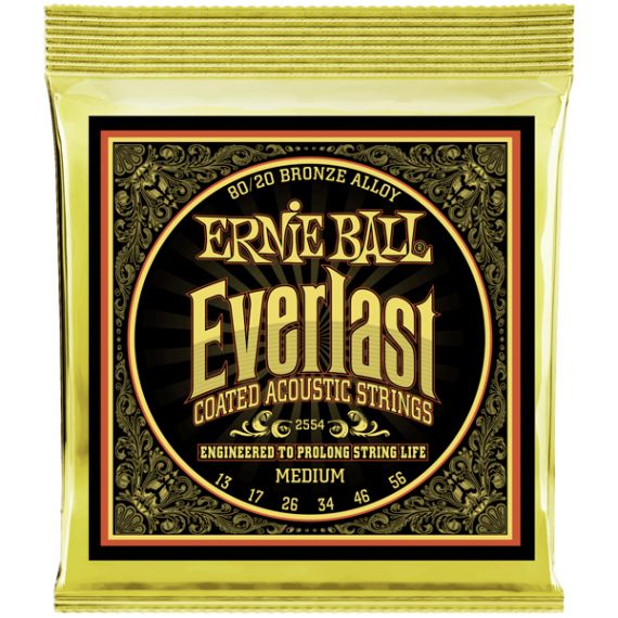 Струны для акустической гитары Ernie Ball 2554 фото 1 | Интернет-магазин Bangbang