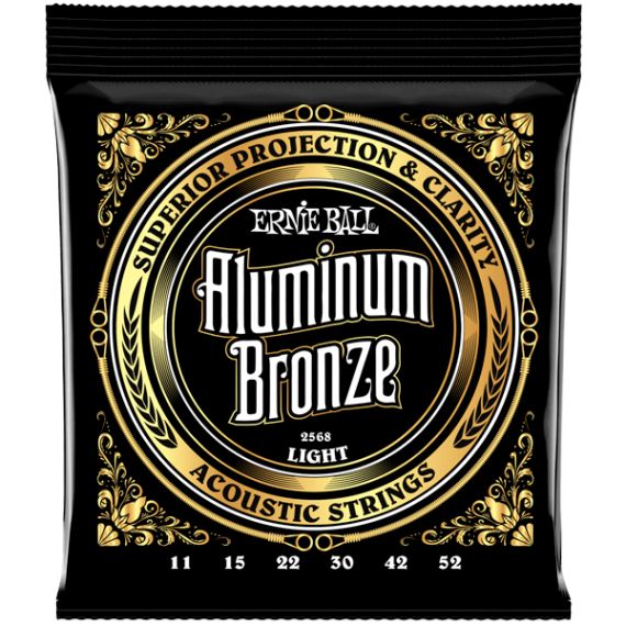 Струны для акустической гитары Ernie Ball 2568 фото 1 | Интернет-магазин Bangbang