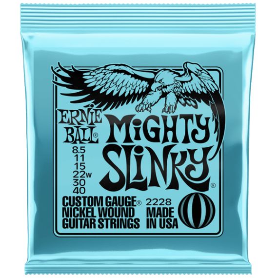 Струны для электрогитары Ernie Ball 2228 фото 1 | Интернет-магазин Bangbang