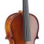 Скрипка Stagg VN 3/4 EF в мягком кейсе, изображение 2