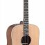 Акустическая гитара JAMES NELIGAN ASY-D, изображение 2
