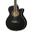 Акустическая гитара Homage LF-401C-B