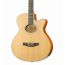 Акустическая гитара Homage LF-401C-N