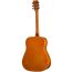 Акустическая гитара Homage LF-4110-SB, изображение 2