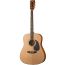 Акустическая гитара Homage LF-4121-N фото 1 | Интернет-магазин Bangbang