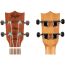 Концертное укулеле Flight AUC-33 Stardust, изображение 3