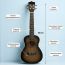 Укулеле концертная Levinson UTC-500 SB, изображение 3