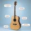 Гитара акустическая Levinson Acoustic Gold N1, изображение 2
