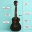 Укулеле концертная Levinson UTC-500 BK, изображение 2