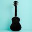 Укулеле концертная Levinson UTC-500 BK, изображение 3